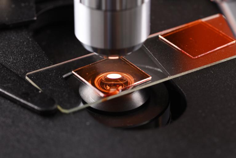 microstructure (2).jpeg